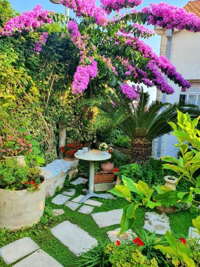 Rooms Garden - With A View 두브로브니크 외부 사진